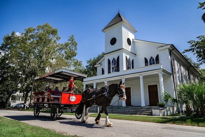 Beaufort's #1 Horse & Carriage History Tour - Tour Guide Experience and Customer Feedback