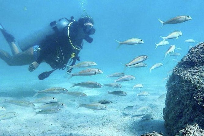 Beginner Scuba Diving Adventure With Videos in Honolulu - Safety and Requirements