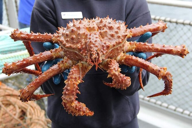 Bering Sea Crab Fishermans Tour From Ketchikan - Marine Life Observation