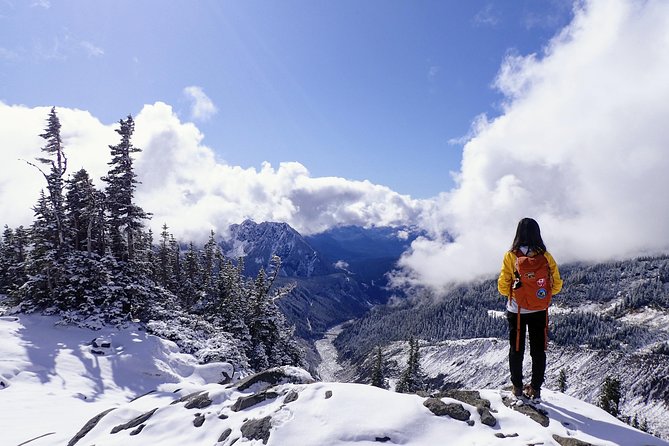 Best of Mount Rainier National Park From Seattle: All-Inclusive Small-Group Tour - Meeting and Pickup Information