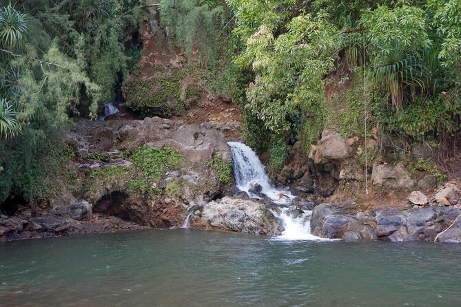 Big Island Zipline Over Kolekole Falls - Requirements and Safety