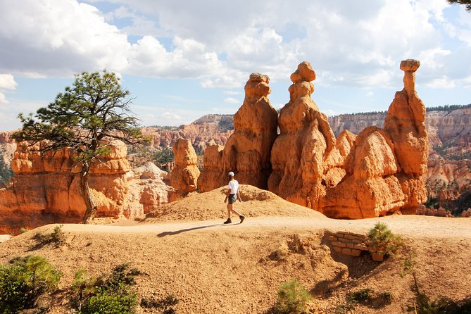 Bryce Canyon & Zion National Parks From Vegas, Lunch, Free Wifi - Additional Information