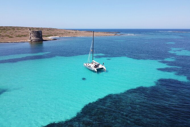 Catamaran Excursions in the Asinara Island National Park - Visiting the Animal Rescue Center