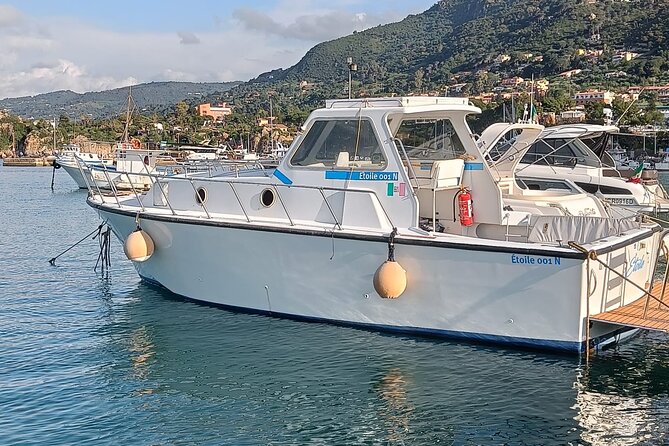 Cefalú Boat Tour - Accessibility and Participation