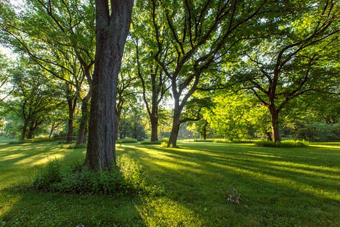 Central Park Guided Walking Tour - Appreciating Central Parks Diverse Flora and Fauna