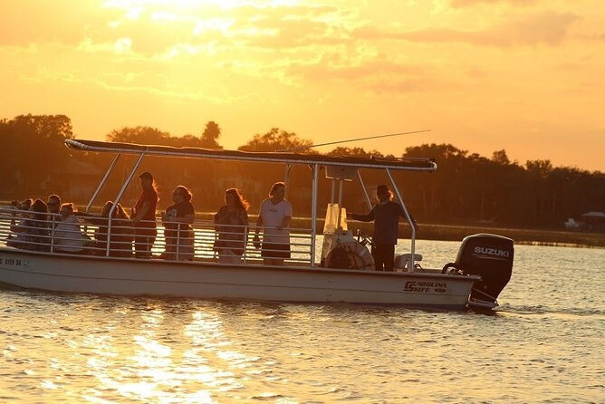 Charleston Eco Boat Cruise With Stop at Morris Island Lighthouse - Wildlife Sightings on the Eco Boat Cruise