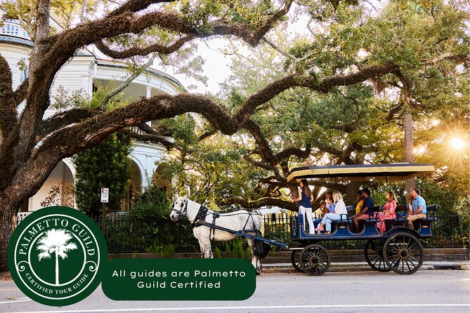 Charleston Horse-Drawn Carriage Tour: Explore Historic Charleston - Experiencing the Horse-Drawn Carriage Ride