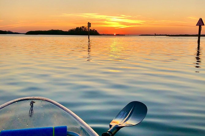 Clear Kayak Tour of Shell Key Preserve and Tampa Bay Area - Observing Wildlife and Nature