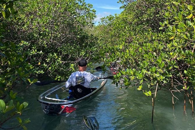 Clear Kayak Tours in Fort Pierce - Customer Reviews and Feedback