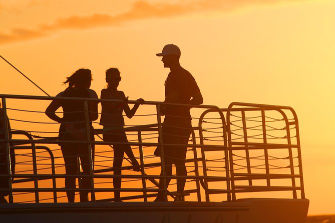 Deluxe Na Pali Sunset Tour on the Lucky Lady - Wildlife Sightings