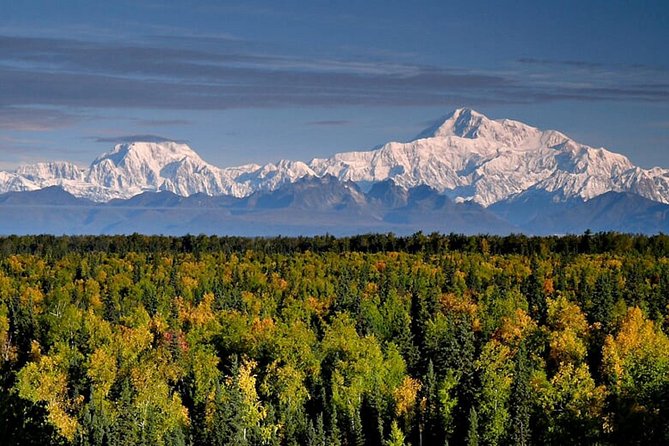 Denali Zipline Tour in Talkeetna, AK - Meeting and Pickup