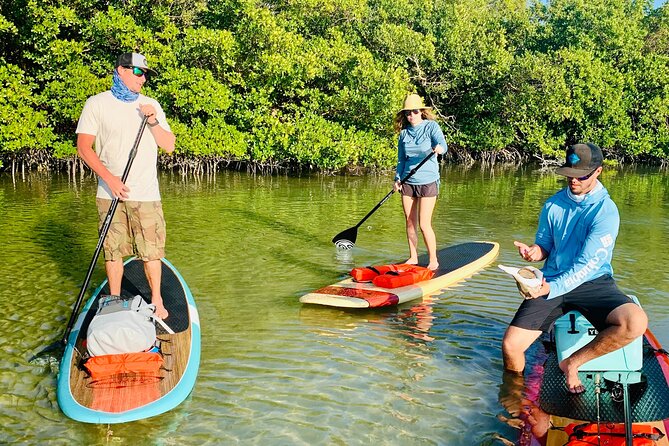 Dolphin and Manatee Adventure Tour of Fort Myers - Meeting and Logistics