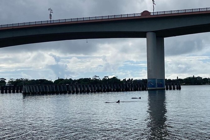 Dolphin and Manatee Stand Up Paddleboard Tour in Daytona Beach - Meeting and Logistics