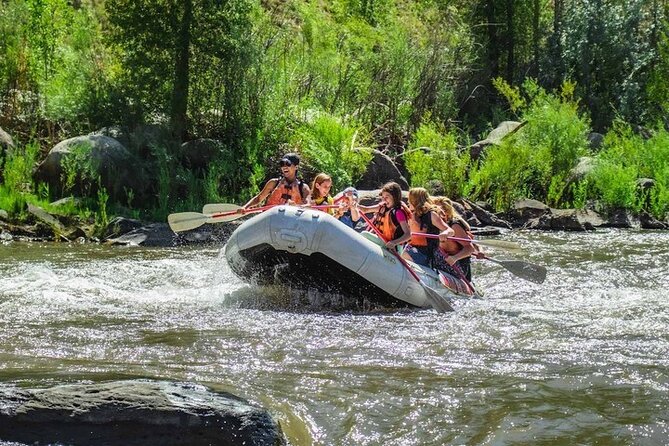 Durango 4 Hour Whitewater Rafting Adventures for All Levels - Customer Experiences