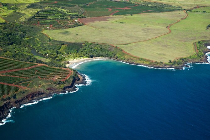 Entire Kauai Airplane Tour With All Window Seats - Guest Experience and Feedback