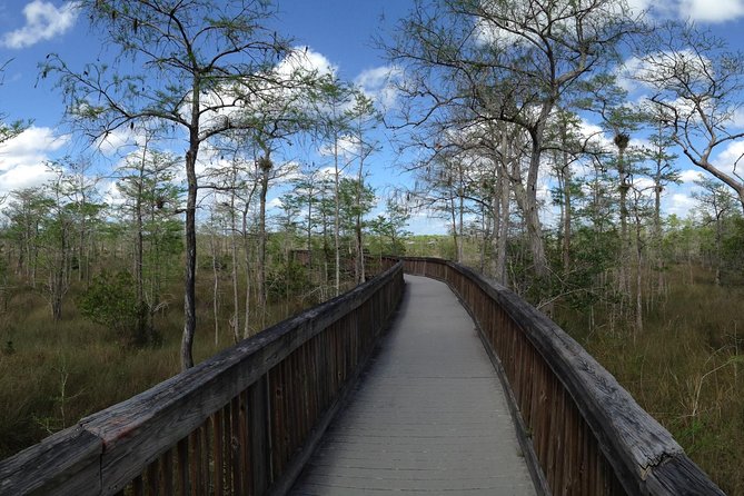 Everglades Day Safari From Ft Lauderdale - Traveler Requirements and Recommendations