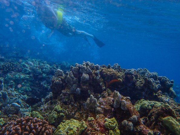 Four Winds Molokini Snorkeling Tour From Maalaea Harbor - Meeting Information