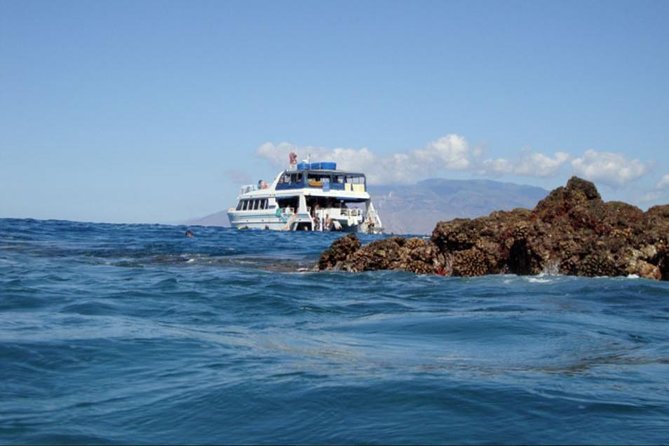 From Maalaea: Whale Watching Tour Aboard the Quicksilver - Booking and Cancellation