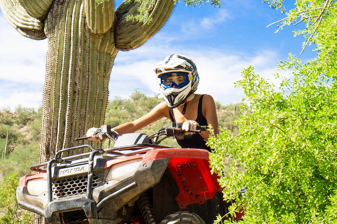 Guided Arizona Desert Tour by ATV - Centipede Tour - Wildlife and Local Highlights