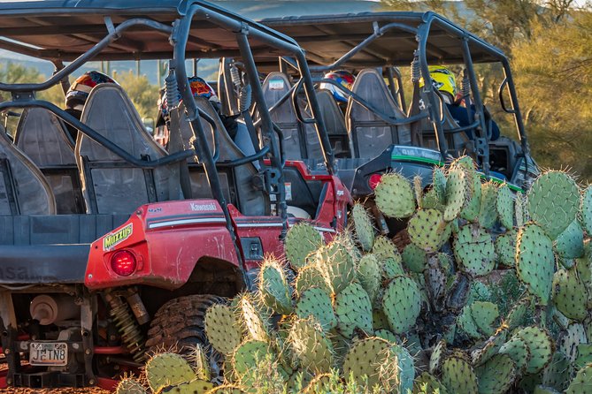 Guided Arizona Desert Tour by UTV - Centipede Tour - Recommendations and Restrictions