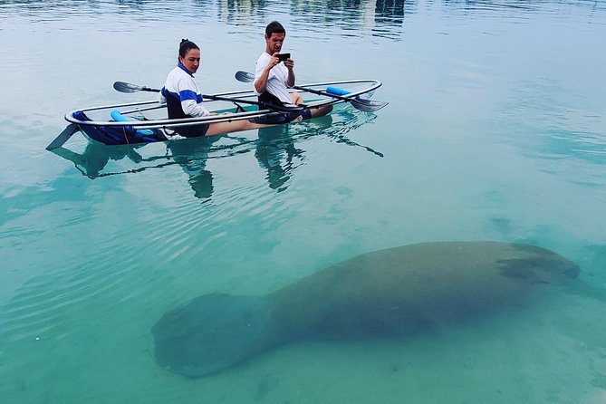 Guided Clear Kayak Eco-Tour of Jupiter - Inclusions and Amenities