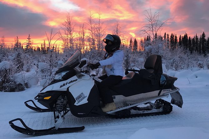 Guided Fairbanks Snowmobile Tour - Pricing and Booking