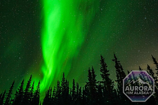 Incredible Aurora Viewing Adventure - Dining Under the Stars