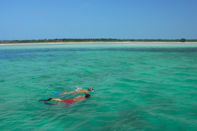 Island Adventure Eco Tour – Explore Key West's Hidden Backcountry - Dining and Refreshments