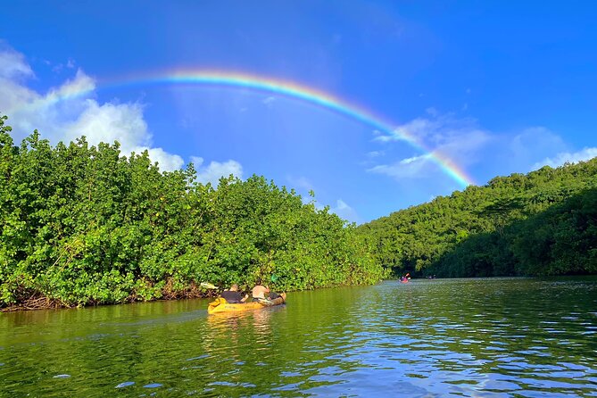 Kauai Adventure: Kayak & Hike to Secret Falls With Expert Guide - Learning About Local Wildlife and Culture