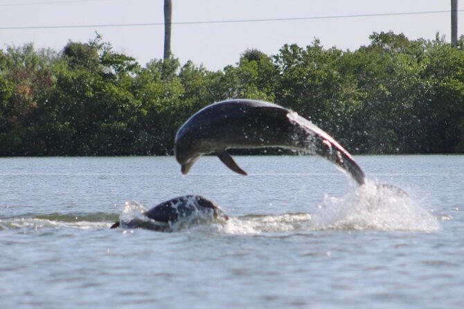 Kayak Tour Adventure Marco Island and Naples Florida - Tour Duration and Group Size