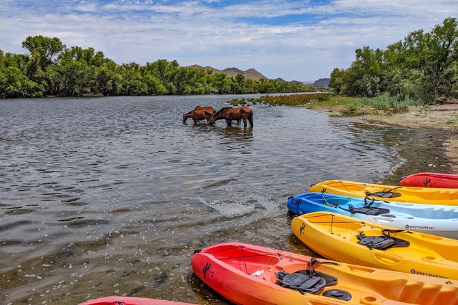 Kayaking the Salt River Foxtail Trip - Scenic Highlights and Wildlife Sightings