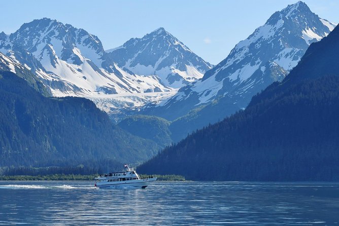 Kenai Fjords and Resurrection Bay Half-Day Wildlife Cruise - Steller Sea Lions at Cape Resurrection