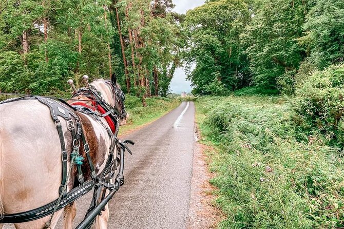 Killarney National Park Tour - Exploring the Park by Horse and Carriage