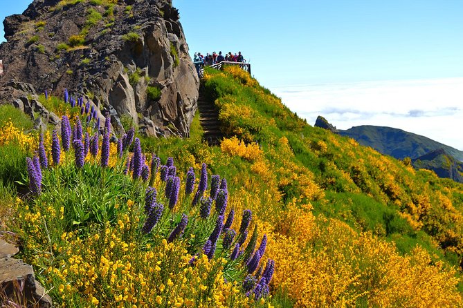 Madeira Peaks - Mountain Walk - Participant Feedback and Reviews