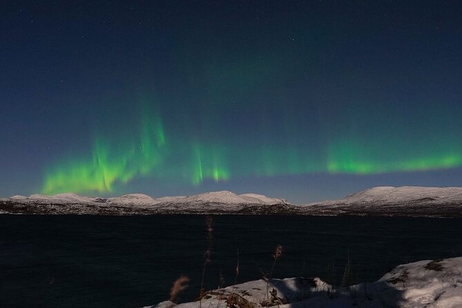 Northern Lights Tour From Kiruna to Abisko With Dinner - Health and Safety Considerations