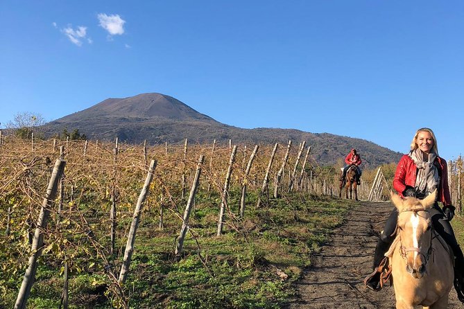 Pompeii Guided Tour & Horse Riding on Vesuvius With Lunch - Horseback Riding in Mt. Vesuvius National Park