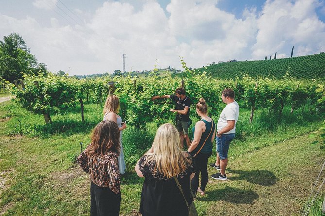 Prosecco Wine Tour From Venice: Small Group Experience - Accessibility and Requirements