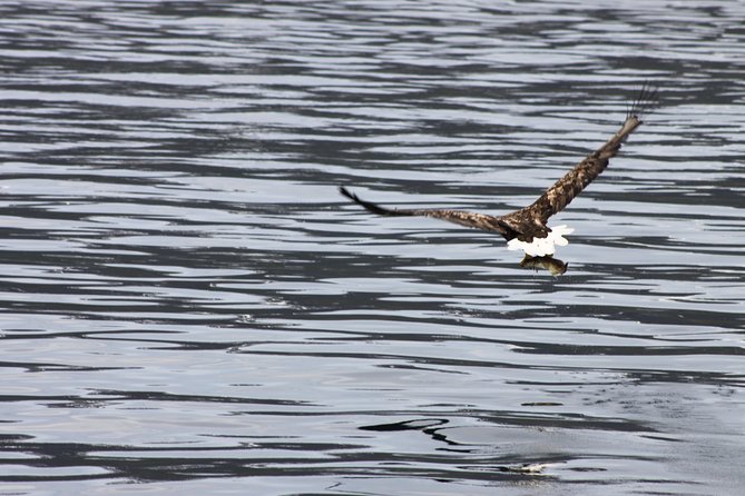 Tromsø: All-inclusive Polar Fjord & Fishing Cruise - Indulging in the Freshly Caught Arctic Cod Fish Soup