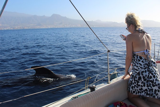 Whale and Dolphin Small Group Sailing From Tenerife South - Meeting Point and Accessibility