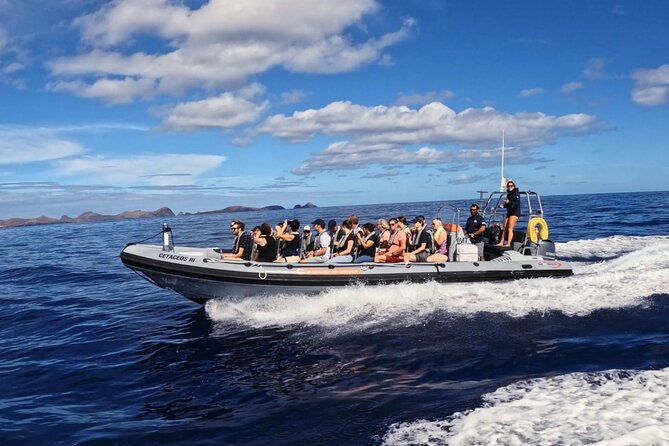 Whale and Dolphin Watching Tour From Funchal - Health and Accessibility Information