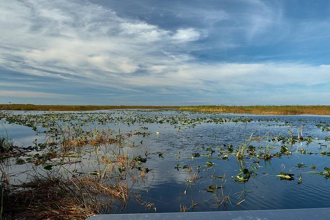 1-Hour Air Boat Ride and Nature Walk With Naturalist in Everglades National Park - Knowledgeable and Friendly Guides