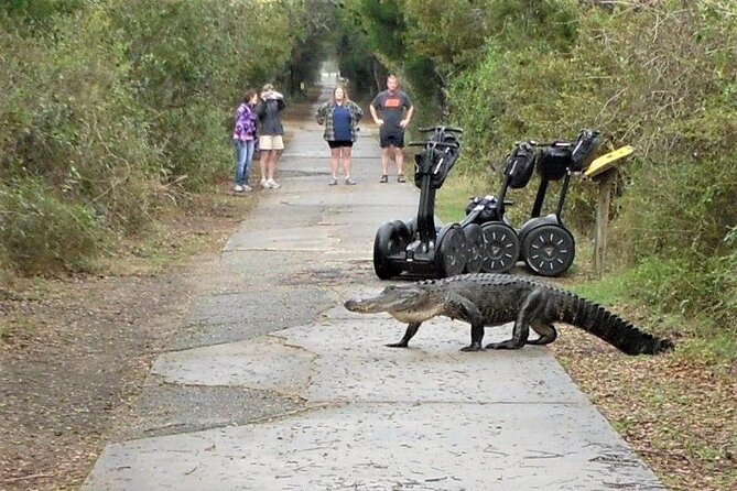 2-Hour Guided Segway Tour of Huntington Beach State Park in Myrtle Beach - Exploring Huntington Beach State Park