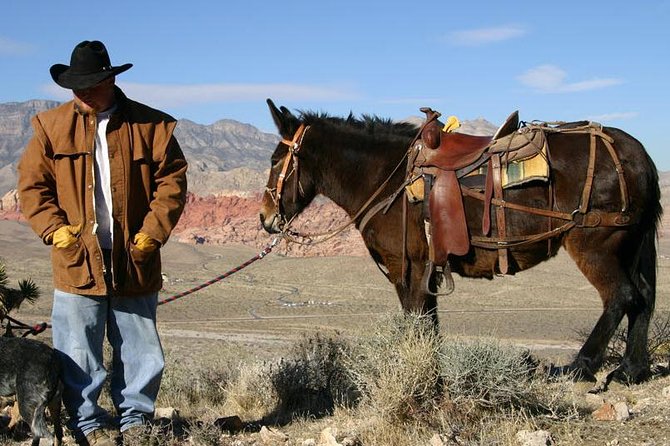 2-Hour Horseback Riding Through Red Rock Canyon - Health and Safety Information