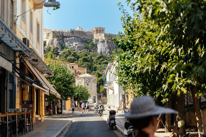 Athens Acropolis & Museum PRIVATE TOUR With a Local PRIVATE Guide - Traveler Reviews and Recommendations