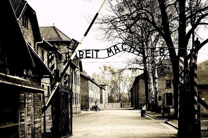 Auschwitz-Birkenau Guided Tour From Krakow With Ticket & Transfer - Experience and Feedback