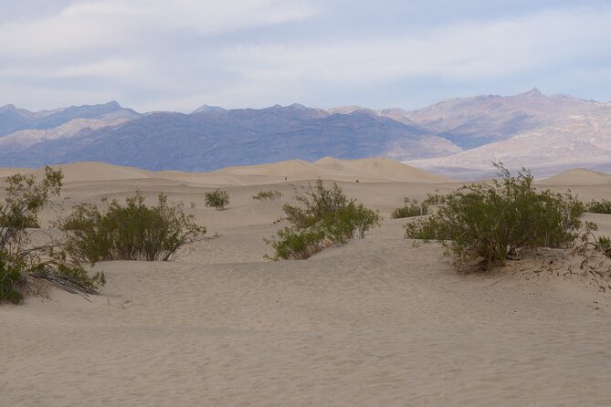 Best of Death Valley Small Group Day Tour From Las Vegas - Recommendations and Accessibility