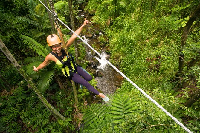 Big Island Zipline Adventure - Meeting and Accessibility