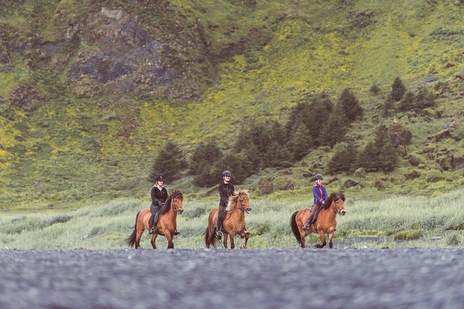 Black Sand Beach Horse Riding Tour From Vik - Exploring the Black Sand Beach