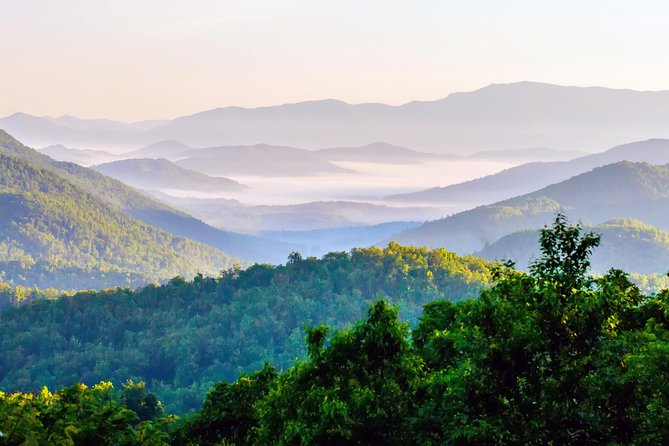 Blue Ridge Parkway Waterfalls Hiking Tour From Asheville - Traveler Reviews and Ratings