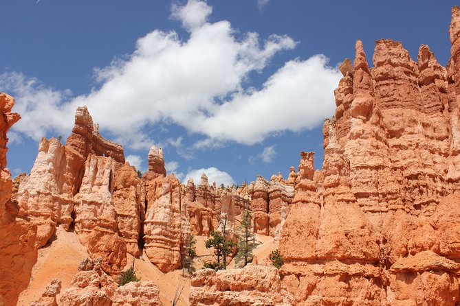 Bryce Canyon & Zion National Parks From Vegas, Lunch, Free Wifi - Customer Feedback